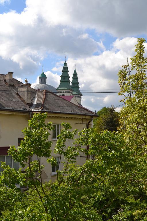 Catedra View Apartment Ternopil Eksteriør bilde
